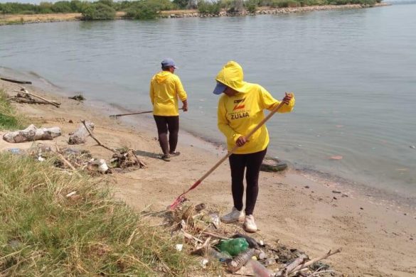 jornada ambiental (2)