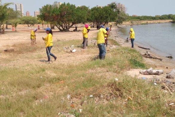 jornada ambiental