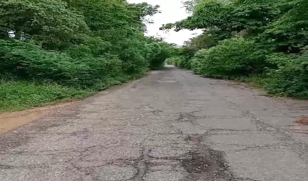 Vía La Plata-Punta Gorda de Cabimas