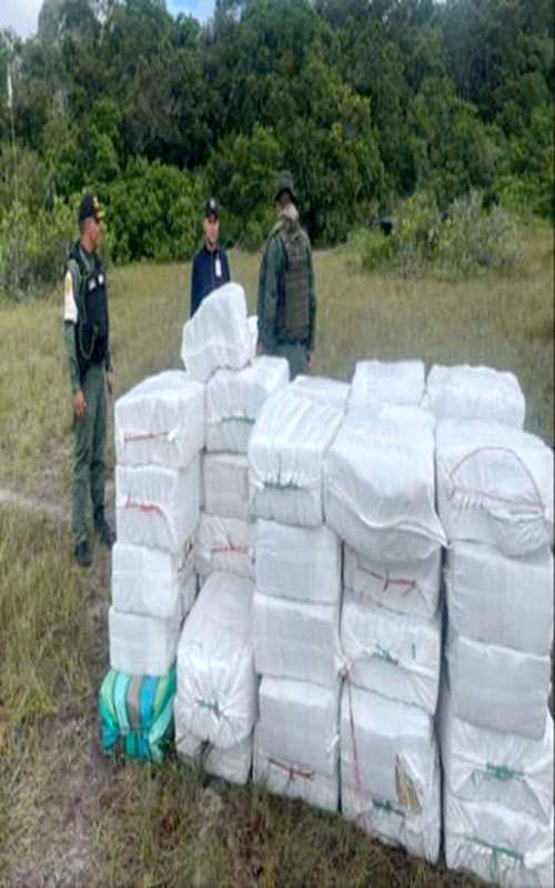 En la ejecución de los procedimientos no hubo detenidos