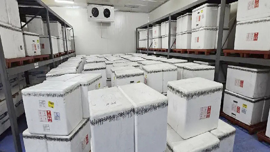 Llegan a Venezuela más de un millón de vacunas contra la fiebre amarilla