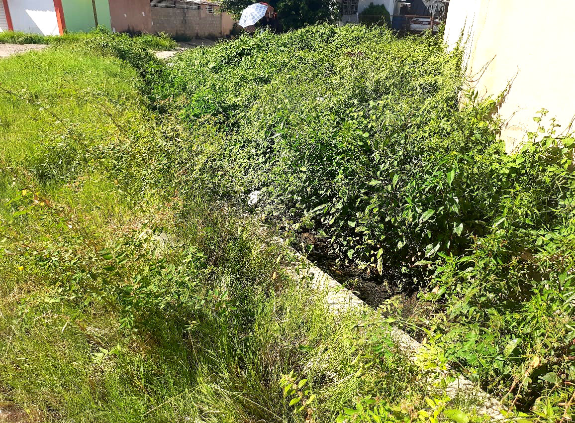 30 familias del sector Tierra Negra con aguas negras