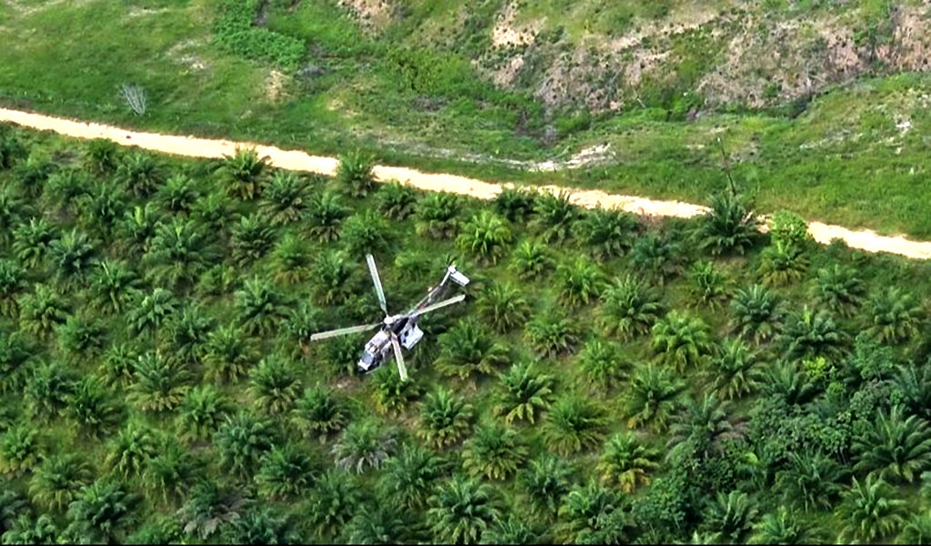 Destruyen tres campamentos de drogas e incautan 665 kilos de cocaína en el Zulia 