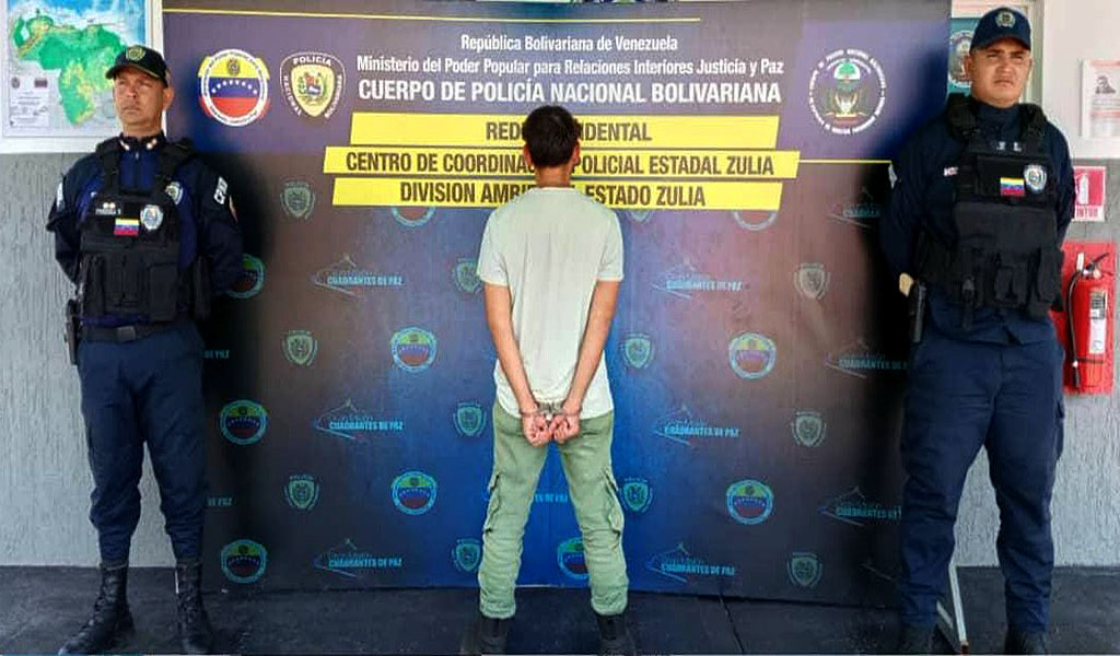 Joven mata a un gato en Maracaibo de trece golpes