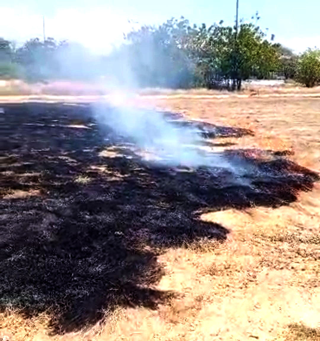 SUCESOS.- Vecinos del sector La Vega de la parroquia Libertad del municipio Lagunillas reportaron un incendio forestal en el terreno del Polideportivo Sierra Maestra.
