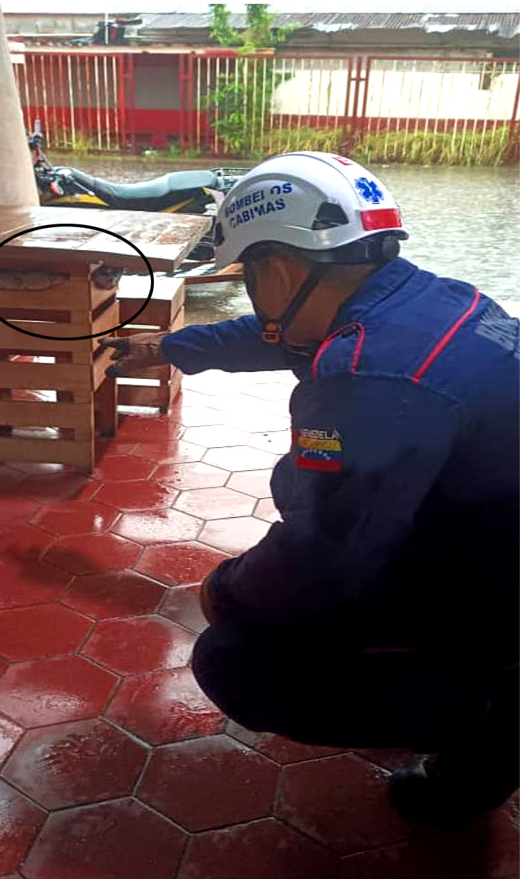 Dos culebras rescatadas por Bomberos de Cabimas