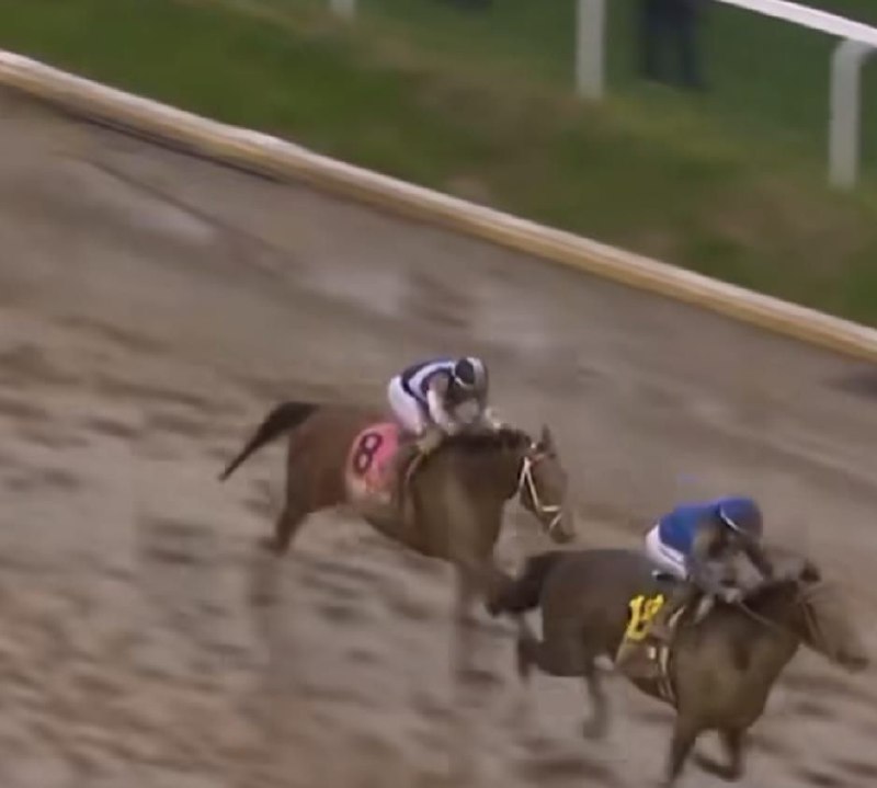 Jockey venezolano Junior Alvarado 1  .jpg 