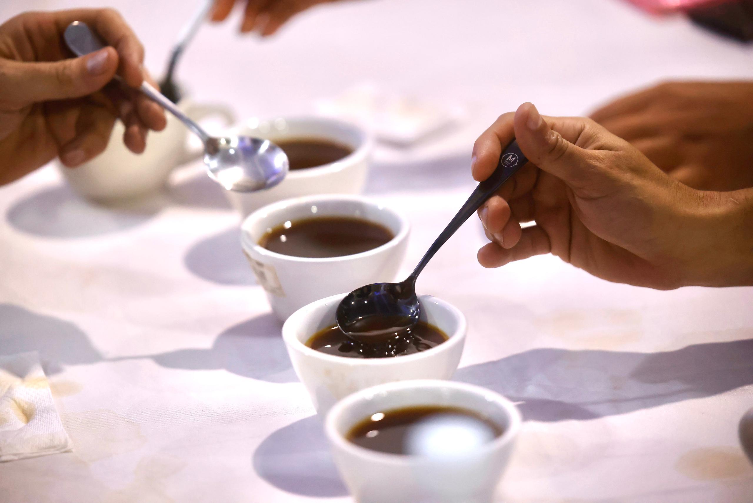 Fiesta Zuliana del Café