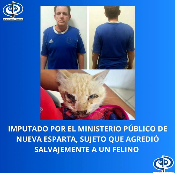 Imputado por maltrato animal