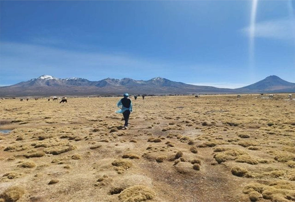 Venezolano muere intentando cruzar la frontera entre Bolivia y Chile