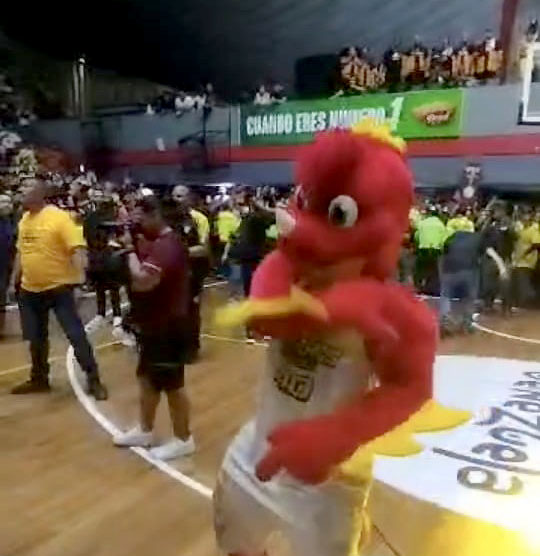 Celebración de Gaitero del Zulia tras coronarse campeón 10 R