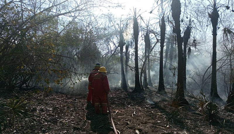 BOMBEROS BACHAQUERO