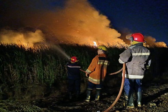 BOMBEROS MIRANDA 1
