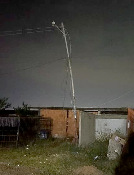 Riesgo eléctrico por la caída de un árbol
