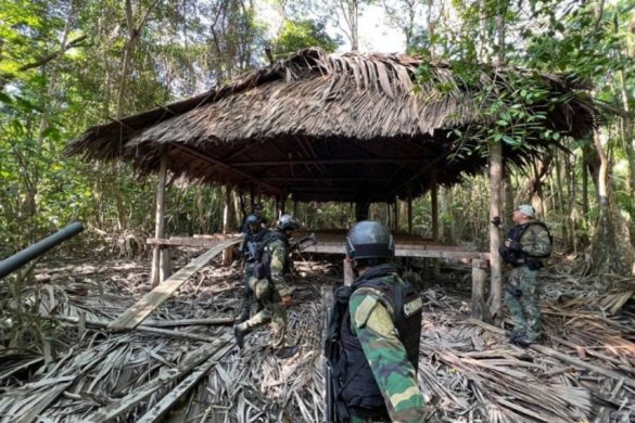 FANB destruyó seis astilleros ilegales del narcotráfico en región del Atlántico