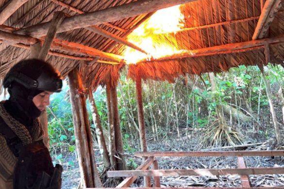 FANB destruyó seis astilleros ilegales del narcotráfico en región del Atlántico2