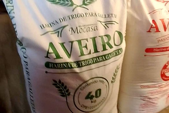 Harina Aveiro para Pizza 14 r