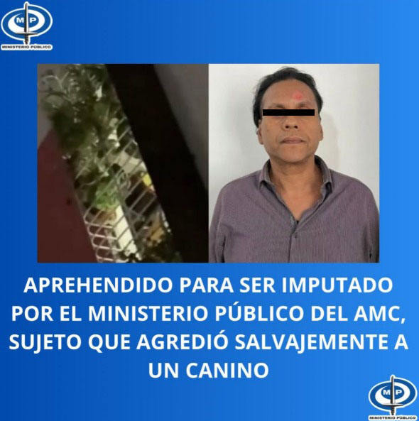Imputarán a sujeto que agredió salvajemente a un canino con un tubo