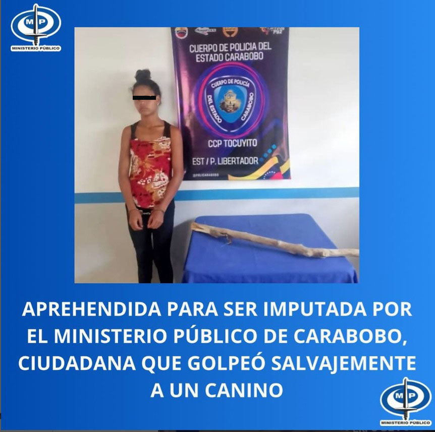 Imputarán a una fémina por agredir con un palo a un perro
