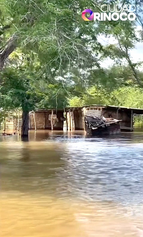 Otras 300 viviendas están bajo las aguas por crecida del río Orinoco 