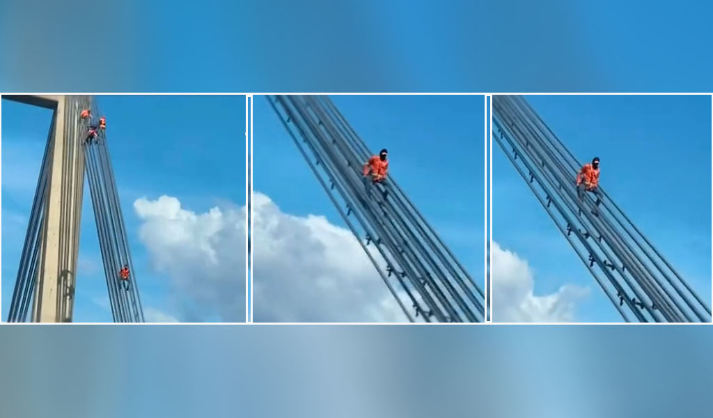 Hombre descendiendo entre dos guayas del Puente