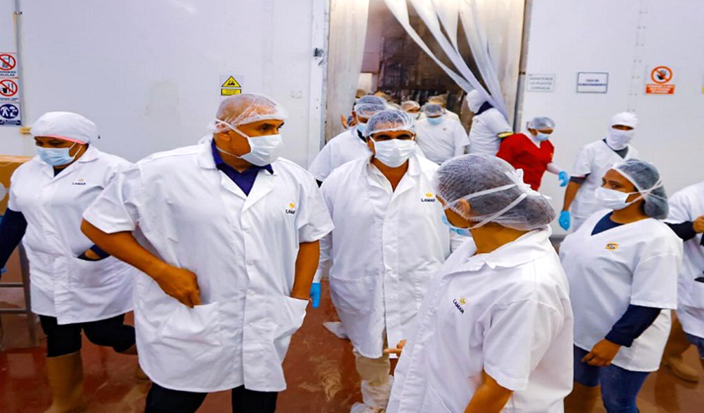 Supervisan operaciones de la granja camaronera Inmarlaca en Zulia