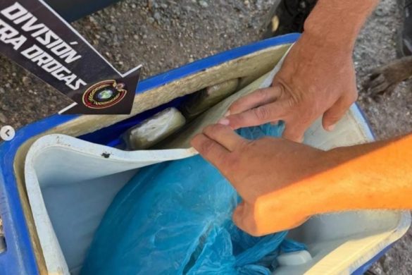 Aprehenden a dos ciudadanos con 3 kilos de marihuana en el estado Sucre 1
