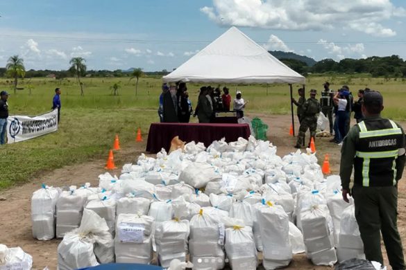 Incineradas 2,9 toneladas de drogas en Amazonas