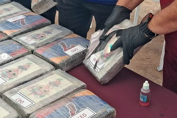 Incineradas 2,9 toneladas de drogas en Amazonas2