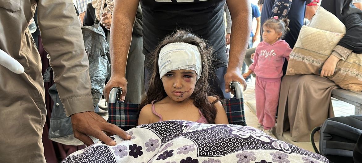 Israel ha cometido genocidio contra los palestinos en Gaza