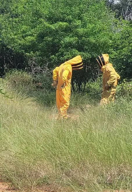 Rescatadas dos personas atacadas por abejas en Santa Rita 6 r