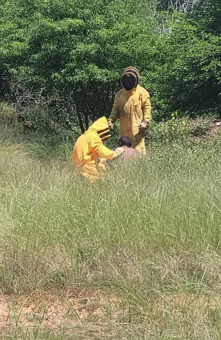 Rescatadas dos personas atacadas por abejas en Santa Rita 7 r