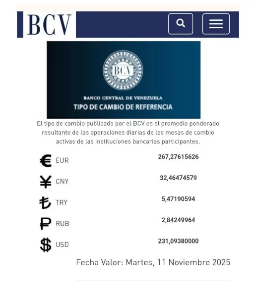 BCV Dólar se cotizará en Bs. 231 09 este martes 11 de noviembre