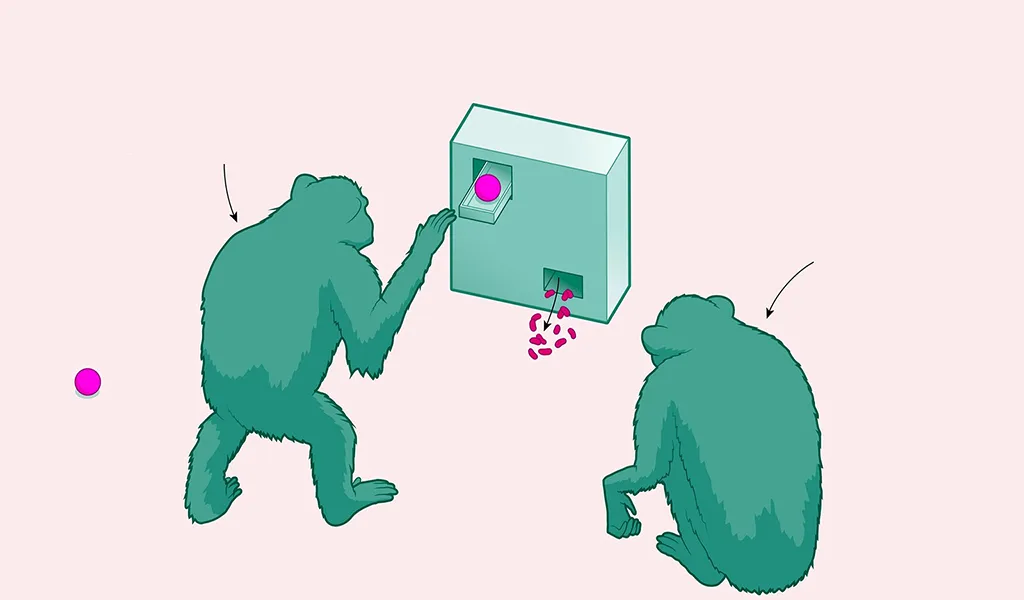 Chimpancés cambiarían de opinión al igual que los humanos