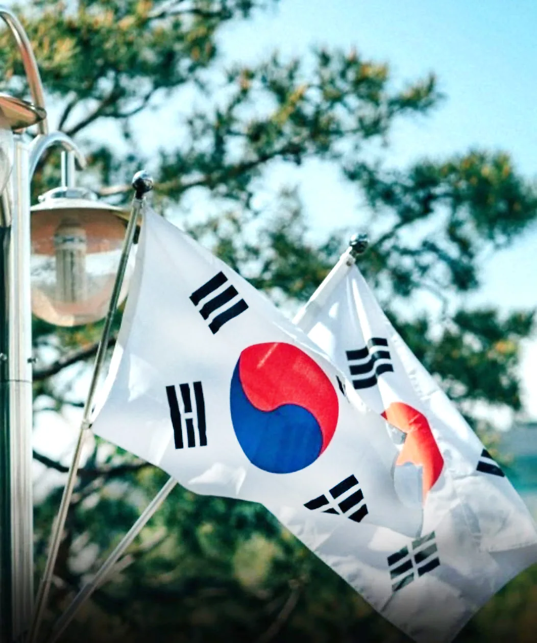 Corea del Sur prohíbe a sus ciudadanos viajar a varias regiones de Venezuela