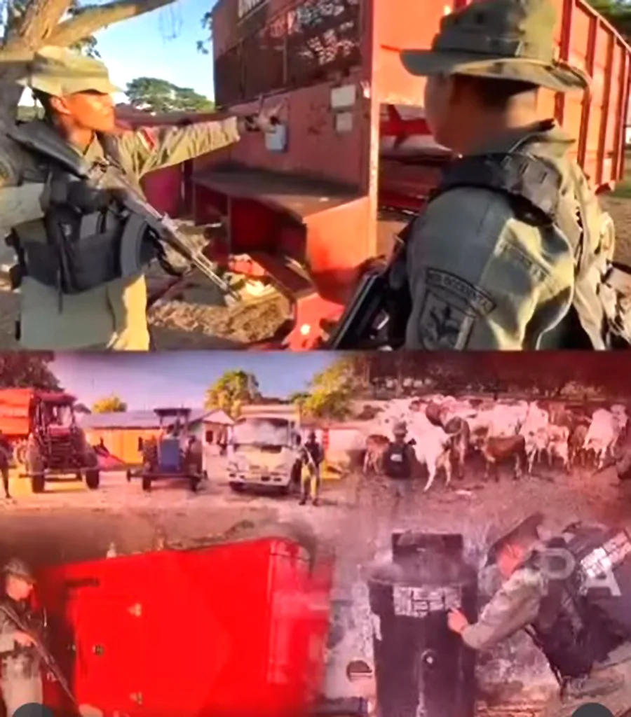 FANB recupera campamento logístico de la banda “El Guaro” en el Zulia
