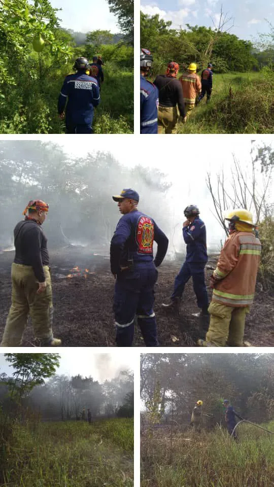 Incendio de vegetación en sector Monte Pío