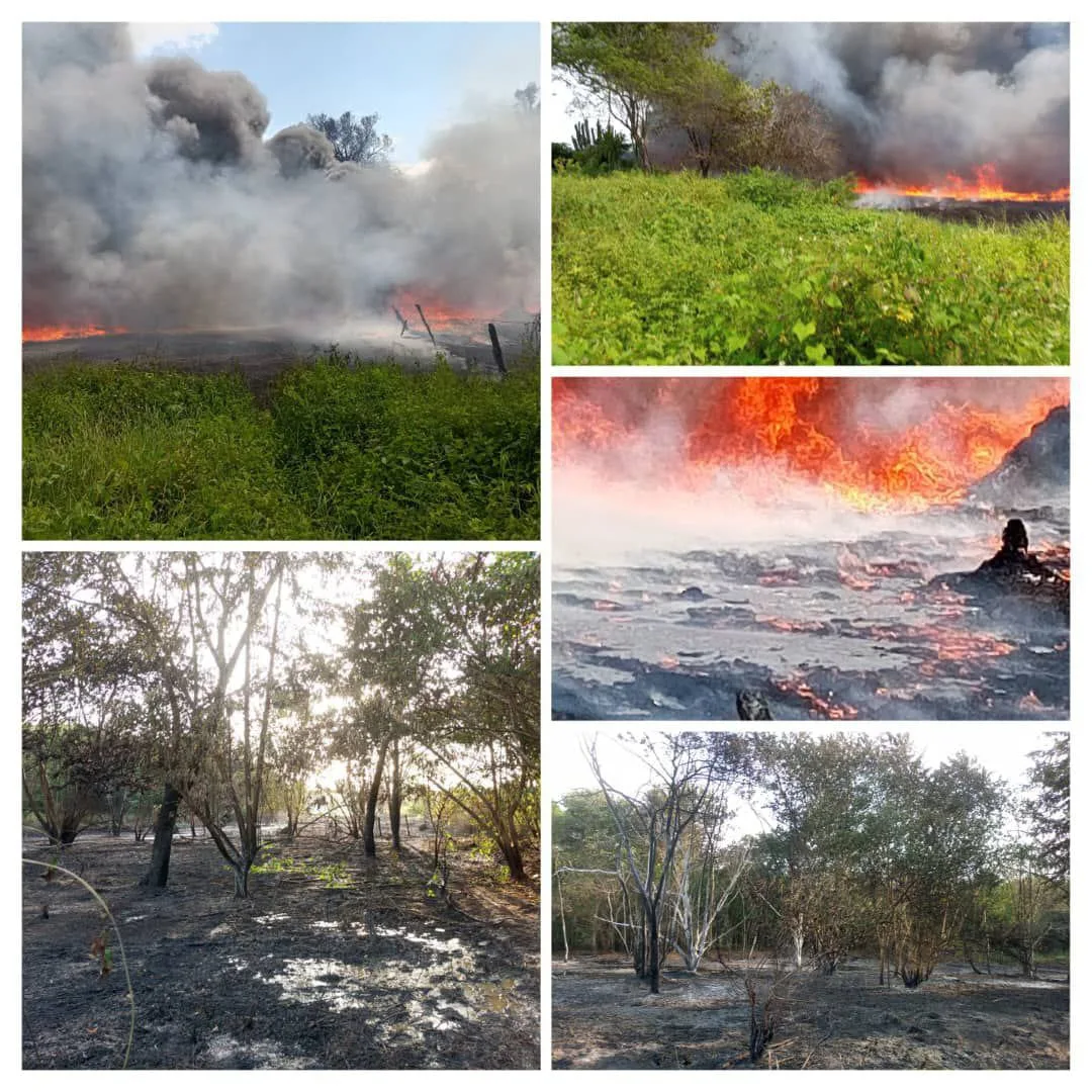 Incendio de vegetación en sector Monte Pío