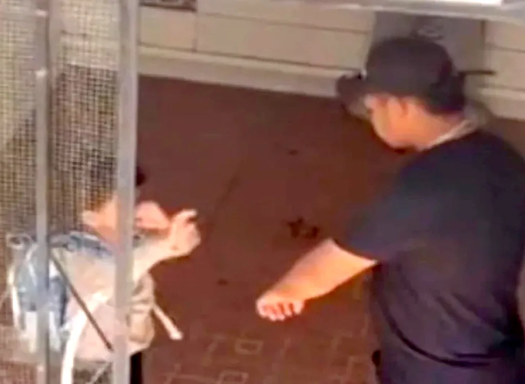 Acusan a la madre y padrastro un niño venezolano de asesinarlo a golpes