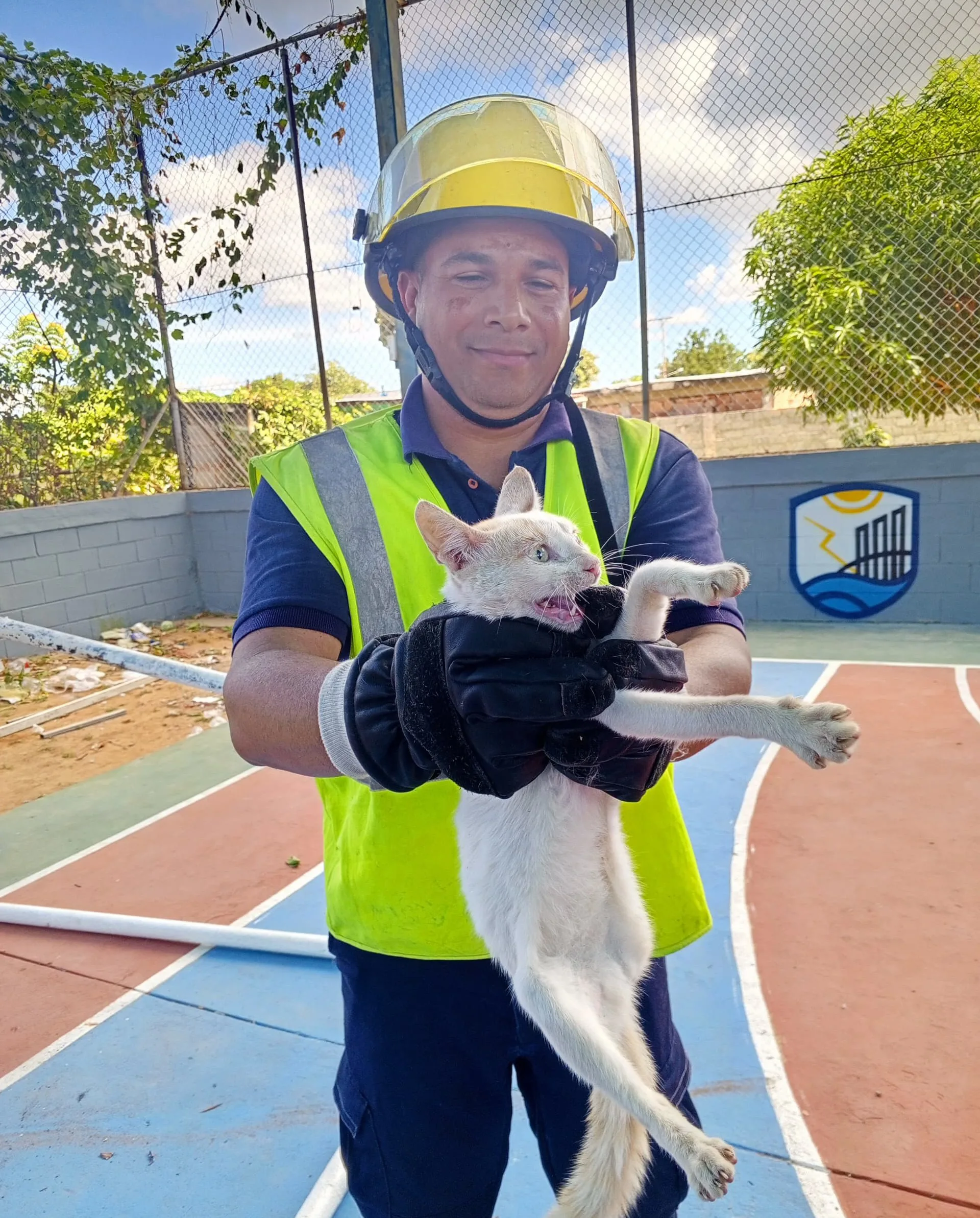 Bomberos de Cabimas rescatan a gato atrapado 