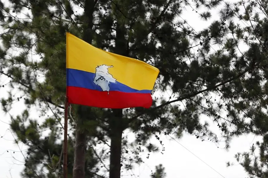 Colombia calcula que el 37 % de los miembros de una disidencia de las FARC serían menores