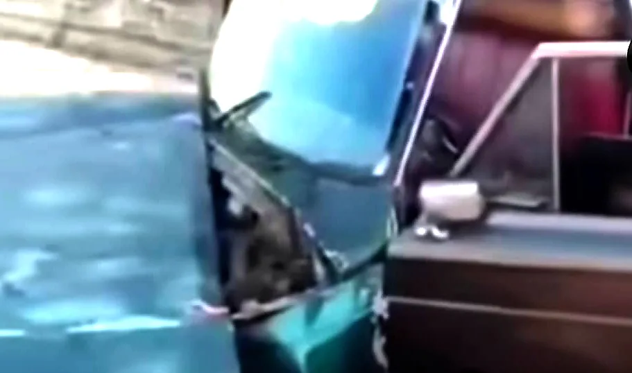 Descontrol de camioneta causó una muerte en Maracaibo