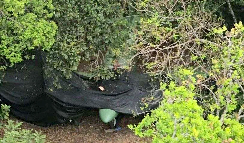 Fanb inutilizó aeronave clandestina número 31 del 2025