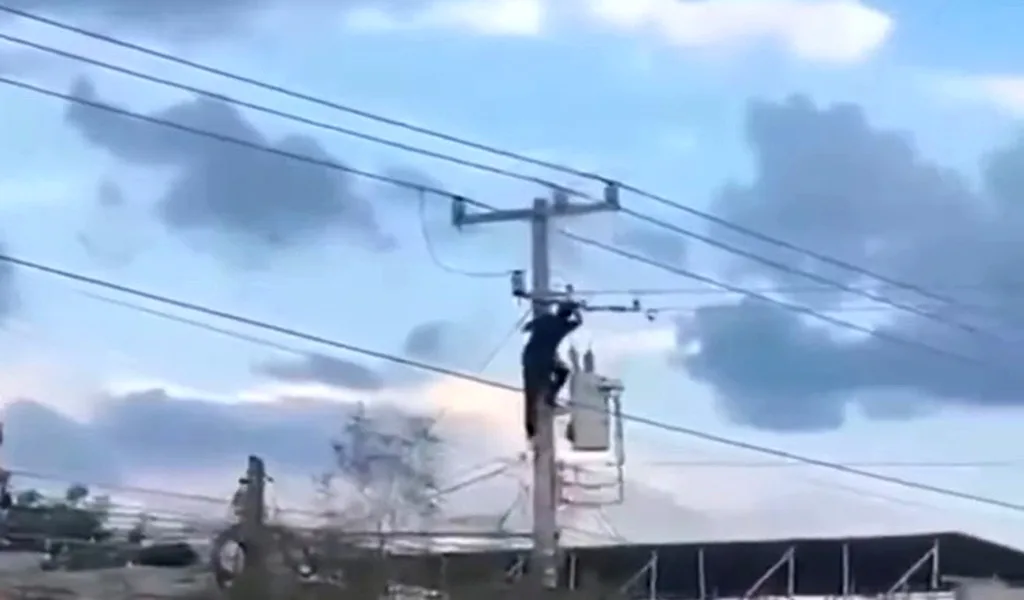 Hombre se sube a un poste huyendo de la policía y se electrocuta 2 t