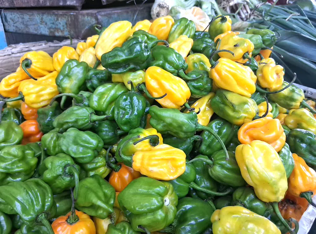Ingredientes para las hallacas sube un 100% 10 r