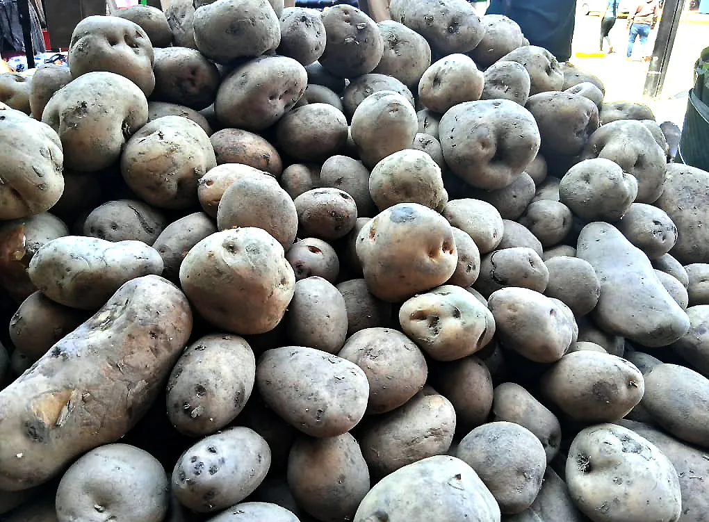 Ingredientes para las hallacas sube un 100% 15 r