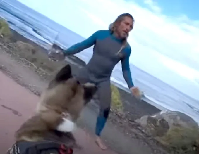 Un surfista de Tenerife atacó a golpes a unos venezolanos