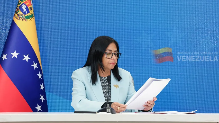 Vicepresidenta calificó como un “vulgar y bárbaro despojo” la venta de Citgo