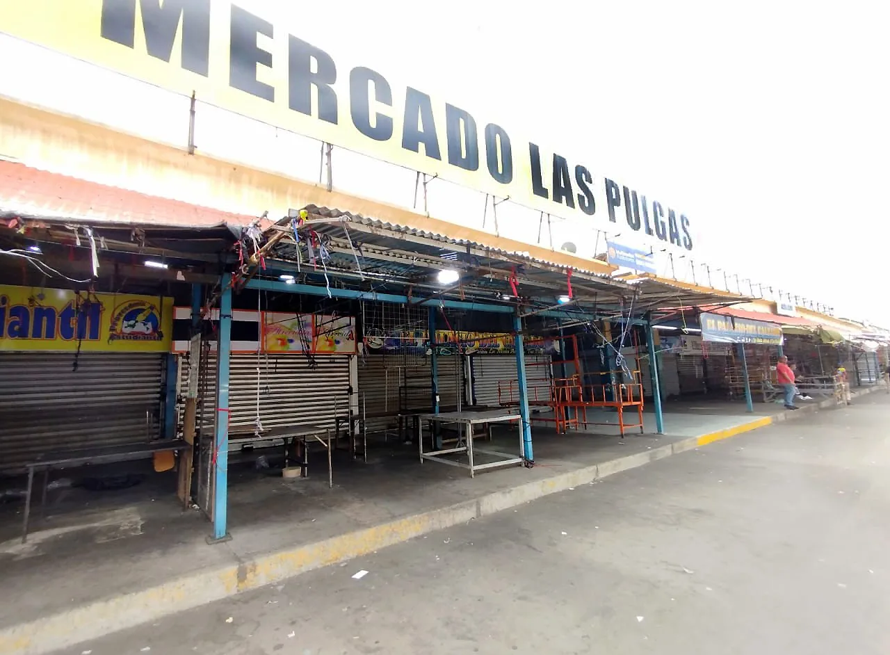 3 mil toneladas de desechos