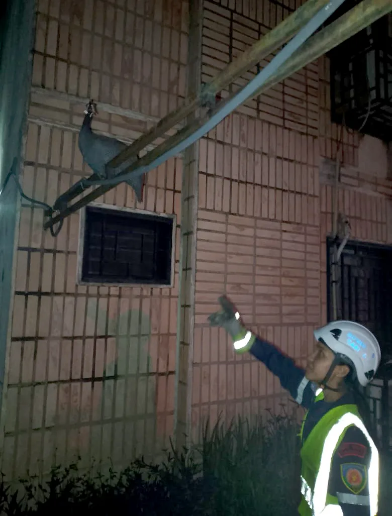 Cuerpo de Bomberos de Cabimas reportó 109 servicios 8 R